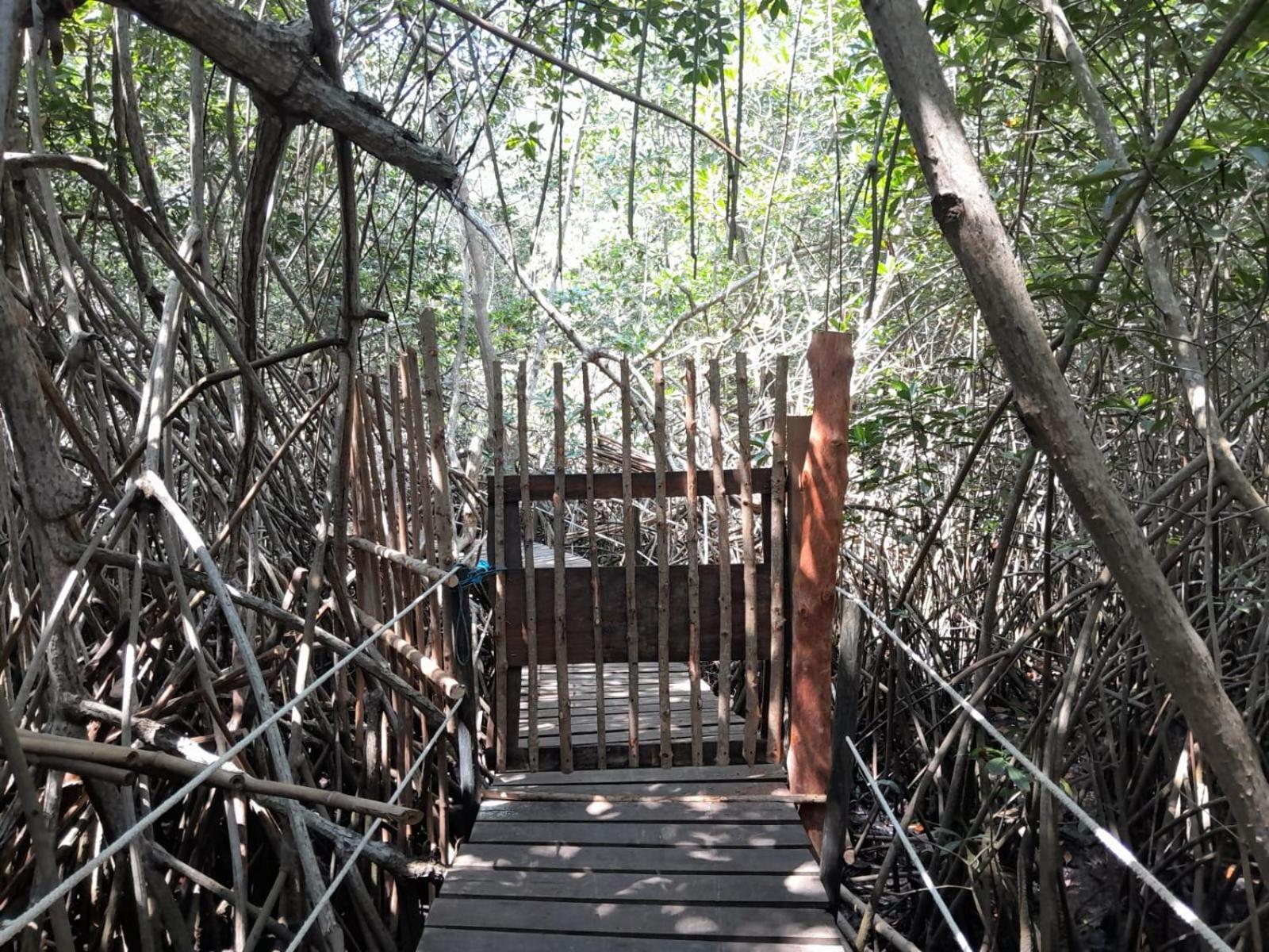 Отель El Puente Эль-Паредон-Буэна-Виста Экстерьер фото